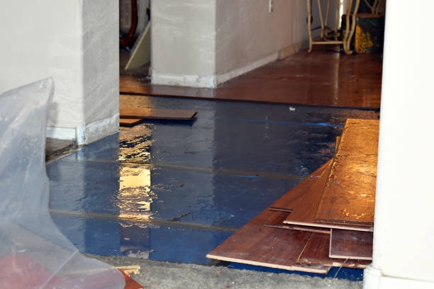 Professional Burst Pipe Water Damage technician working in Seagoville, TX